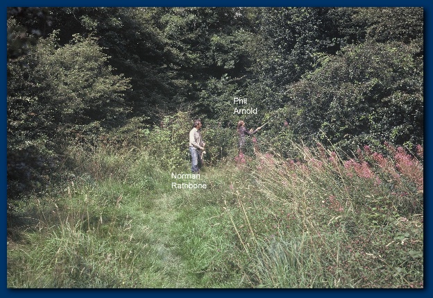 600x404 pixels (188K)